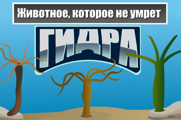 Кракен адрес тор