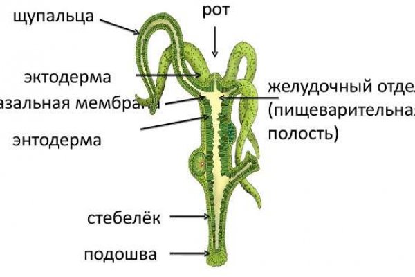 Кракен kr2web in магазин