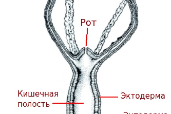 Кракен маркет kr2web in